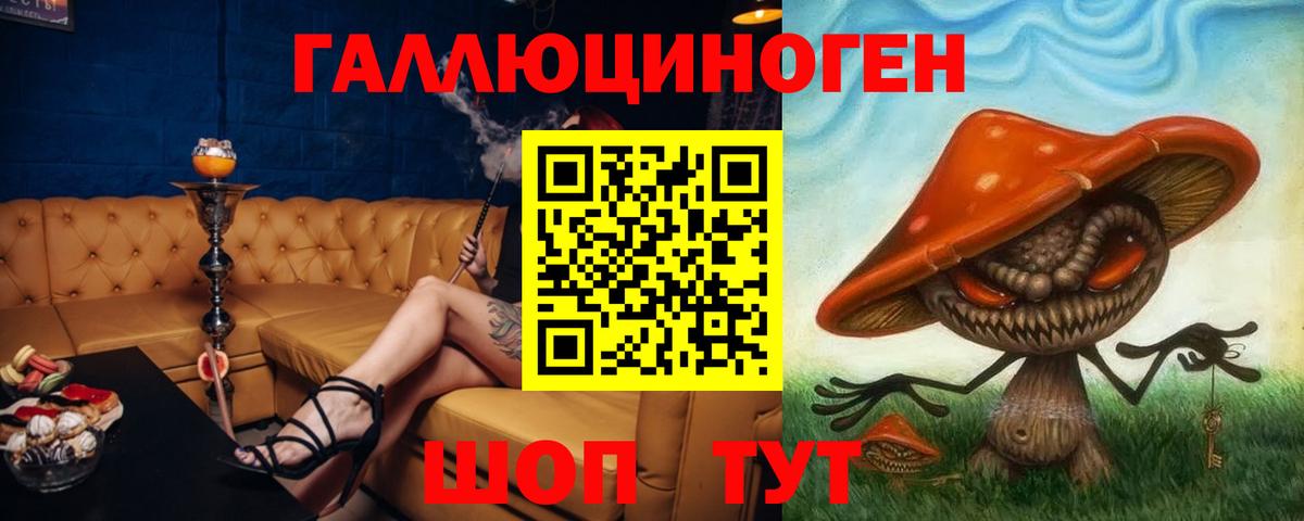 Псилоцибиновые грибы Psilocybe  Вход с VPN  где можно купить наркотик  Нефтекумск  Псилоцибиновые грибы мицелий 
